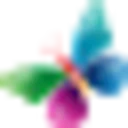 Colorit